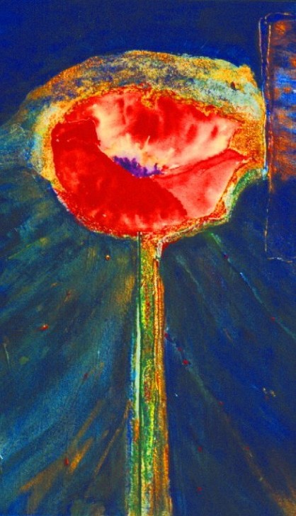 Coquelicot